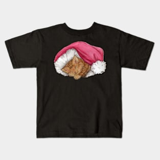 Kitten in Santa hat, with no background Kids T-Shirt